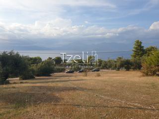 Οικόπεδο 4.500 τ.μ. για πώληση, Αχαΐα, Ρίο-thumb-17
