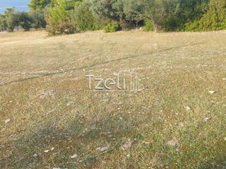 Οικόπεδο 4.500 τ.μ. για πώληση, Αχαΐα, Ρίο-thumb-18
