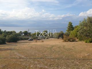 Οικόπεδο 4.500 τ.μ. για πώληση, Αχαΐα, Ρίο-thumb-21