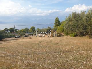 Οικόπεδο 4.500 τ.μ. για πώληση, Αχαΐα, Ρίο-thumb-22