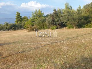 Οικόπεδο 4.500 τ.μ. για πώληση, Αχαΐα, Ρίο-thumb-24