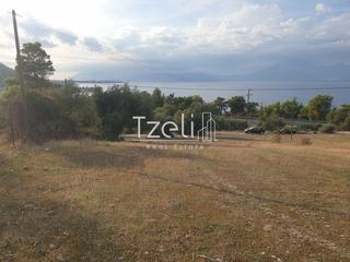 Οικόπεδο 4.500 τ.μ. για πώληση, Αχαΐα, Ρίο-thumb-25