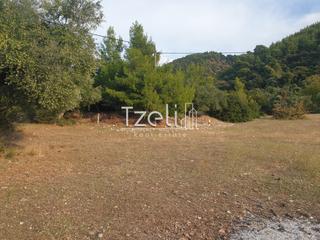 Οικόπεδο 4.500 τ.μ. για πώληση, Αχαΐα, Ρίο-thumb-27