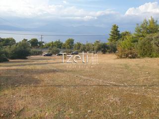 Οικόπεδο 4.500 τ.μ. για πώληση, Αχαΐα, Ρίο-thumb-28