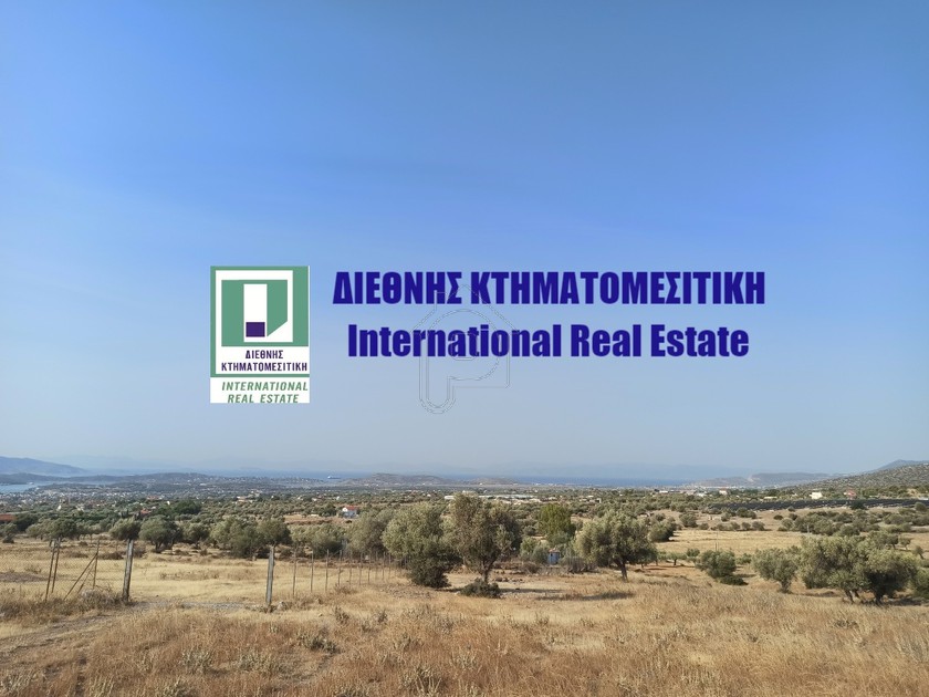 Αγροτεμάχια 11.491τ.μ. για πώληση-Μέγαρα » Κέντρο