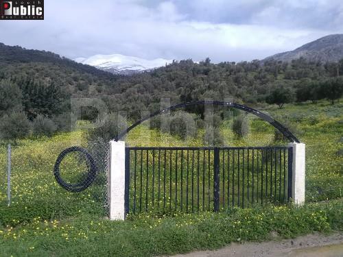 Οικόπεδο 2.215τ.μ. για πώληση-Κουρήτες » Αγία παρασκευή