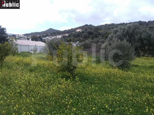 Οικόπεδο 2.215 τ.μ. πρός πώληση, Ν. Ρεθύμνου, Ρέθυμνο