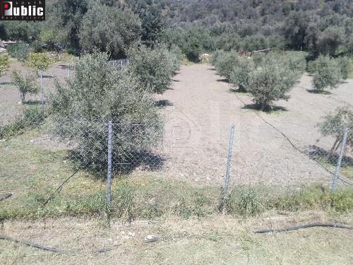 Οικόπεδο 2.215 τ.μ. πρός πώληση, Ν. Ρεθύμνου, Ρέθυμνο