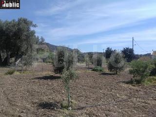 Οικόπεδο 2.215 τ.μ. για πώληση, Ν. Ρεθύμνου, Ρέθυμνο-thumb-7