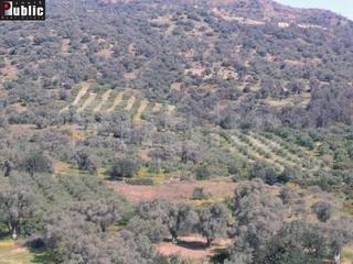 Οικόπεδο 9.180 τ.μ. για πώληση, Ν. Ρεθύμνου, Ρέθυμνο-thumb-1