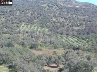 Οικόπεδο 9.180 τ.μ. για πώληση, Ν. Ρεθύμνου, Ρέθυμνο-thumb-2