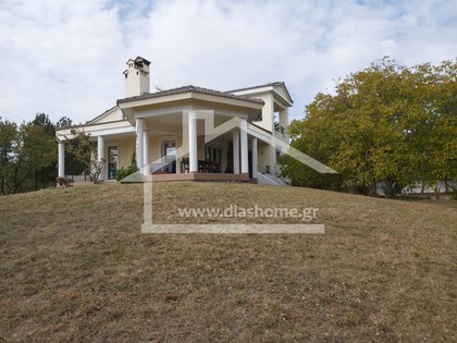 Villa 400sqm for sale-Kozani » Girokomeio