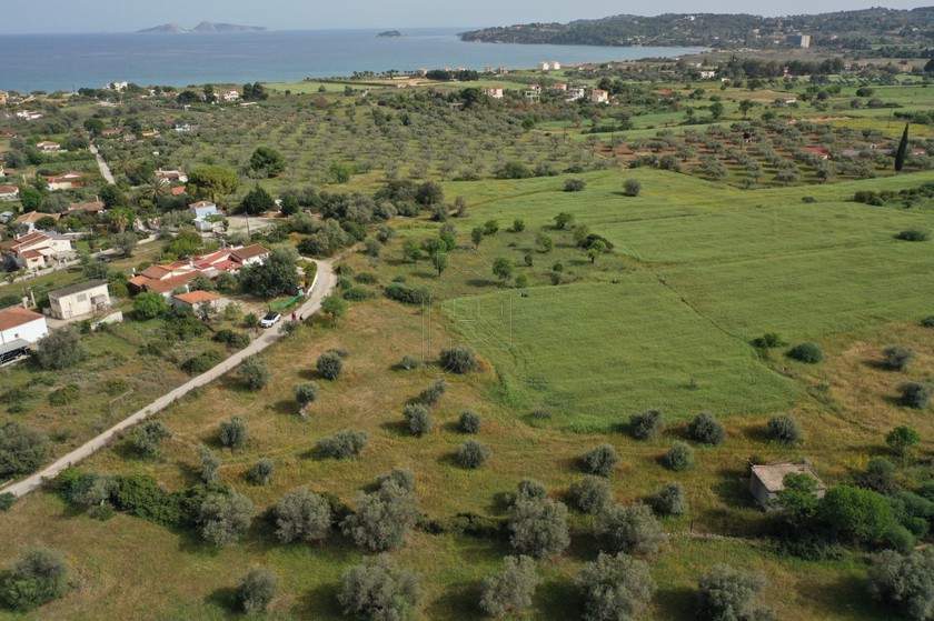 Αγροτεμάχια 6.000 τ.μ. για πώληση