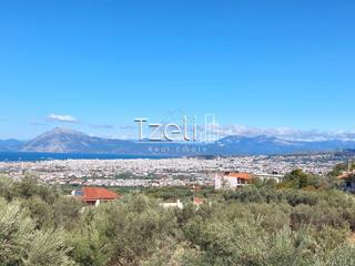 Μονοκατοικία 310 τ.μ. για πώληση, Αχαΐα, Μεσσατίδα-thumb-11