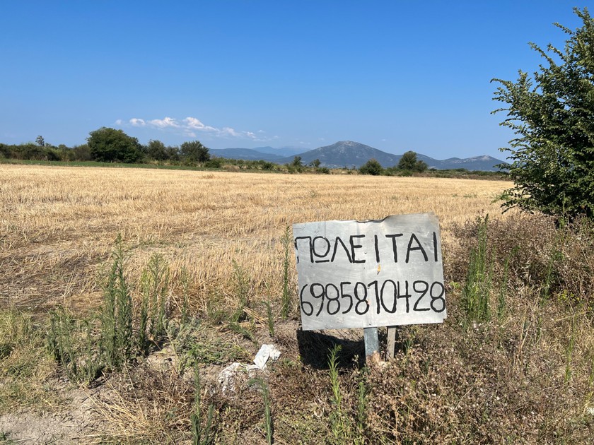 Αγροτεμάχια 9.953 τ.μ. προς πώληση
