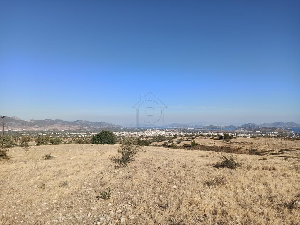 Αγροτεμάχια 4.800 τ.μ. πρός πώληση, Αττική - Υπόλοιπο, Μέγαρα