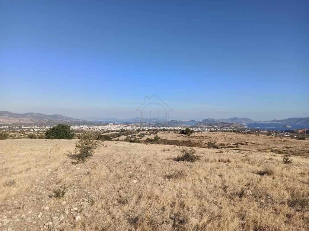 Αγροτεμάχια 4.800 τ.μ. πρός πώληση, Αττική - Υπόλοιπο, Μέγαρα