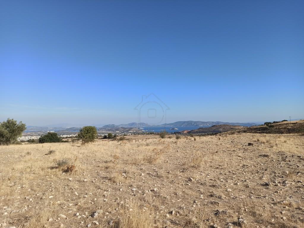 Αγροτεμάχια 4.800 τ.μ. πρός πώληση, Αττική - Υπόλοιπο, Μέγαρα