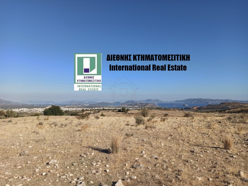 Αγροτεμάχια 4.800 τ.μ. για πώληση