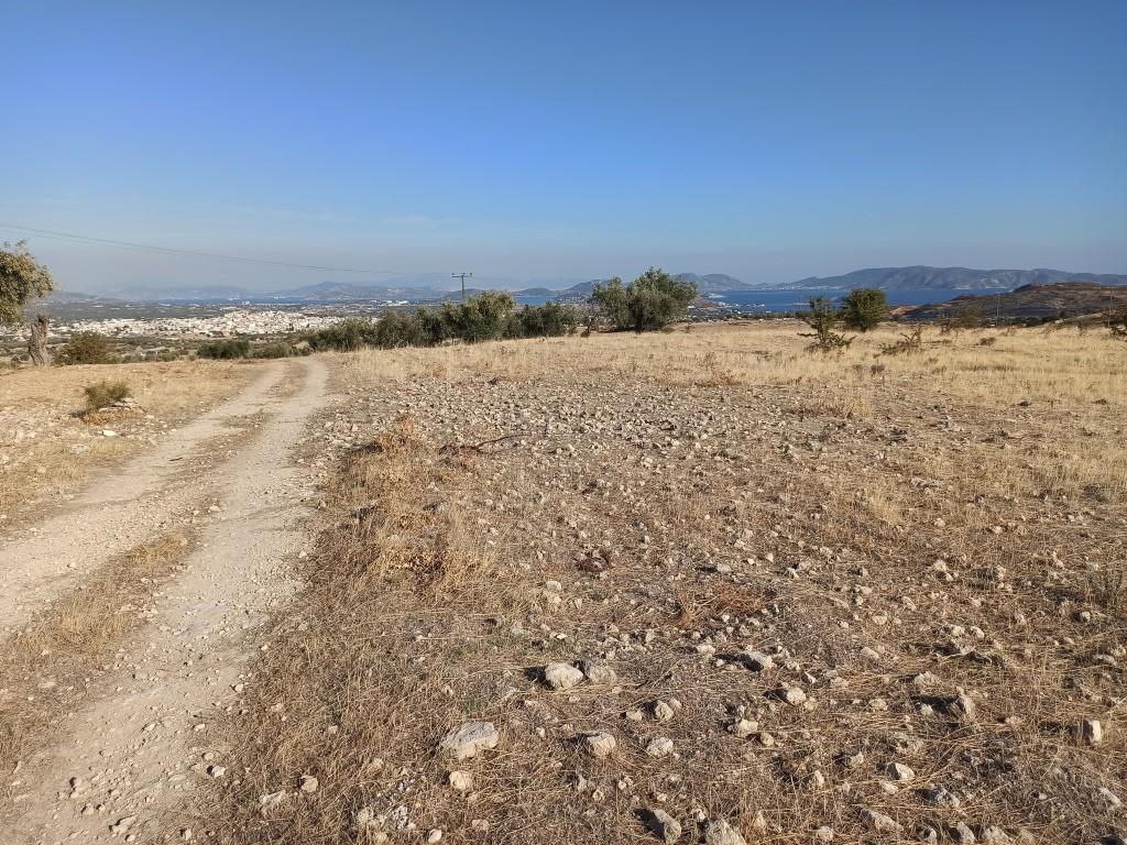 Αγροτεμάχια 4.800 τ.μ. πρός πώληση, Αττική - Υπόλοιπο, Μέγαρα