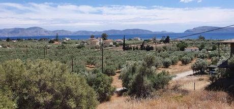 Οικόπεδο 600τ.μ. για πώληση-Ερμιόνη » Θερμησία
