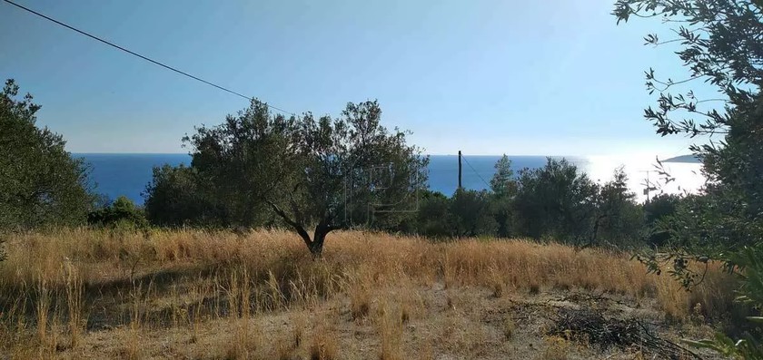 Οικόπεδο 5.000τ.μ. για πώληση-Κεφαλονιά