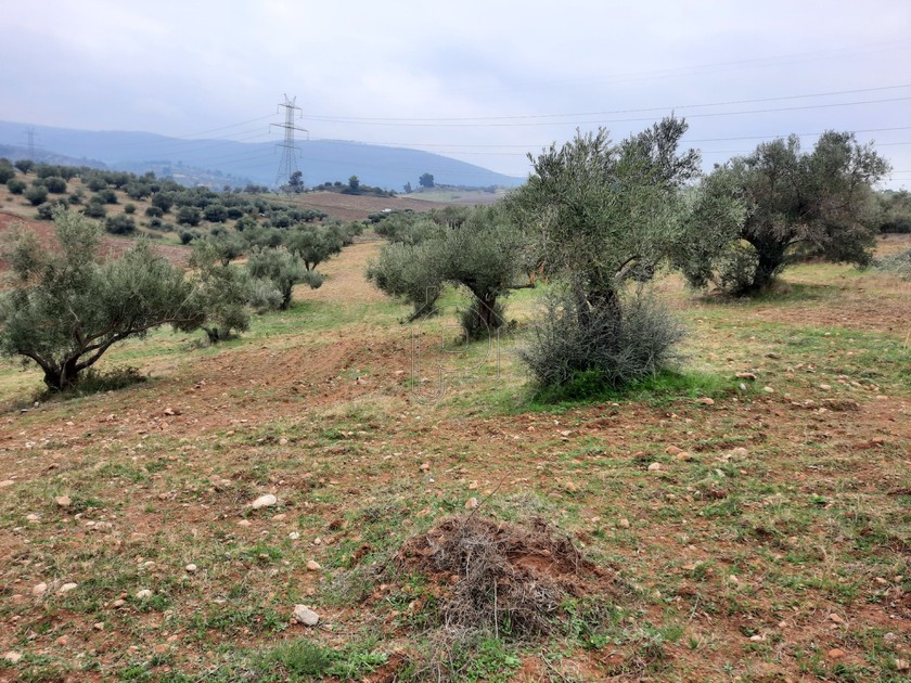 Άλλο 4 τ.μ. για πώληση