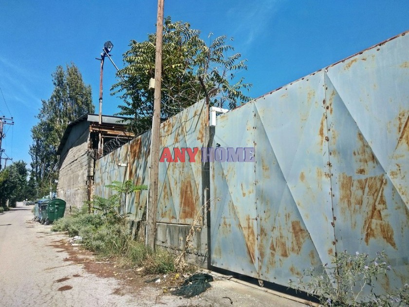 Other 1.500 sqm for rent