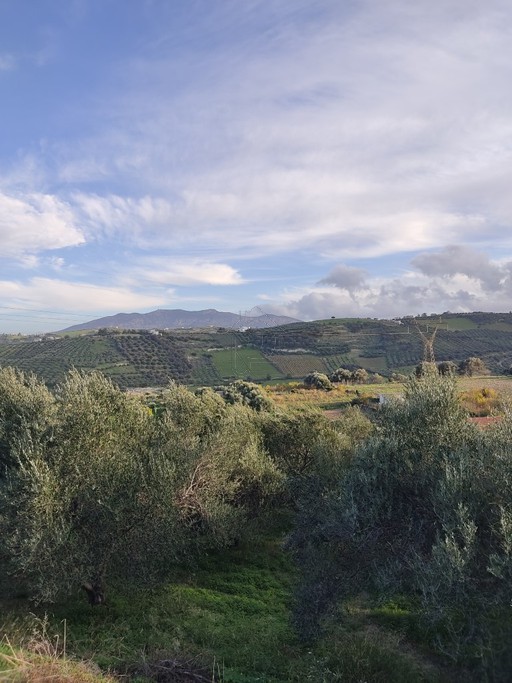 Land plot 4.059sqm for sale-Heraclion Cretes » Voutes