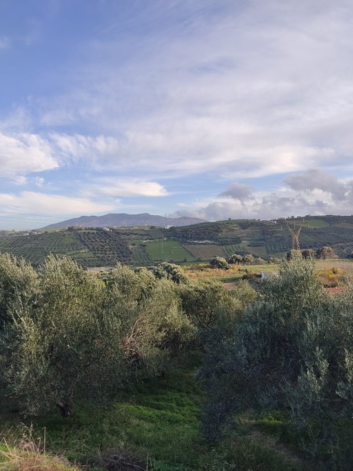 Land plot 4.059 sqm for sale, Heraklion Prefecture, Heraclion Cretes
