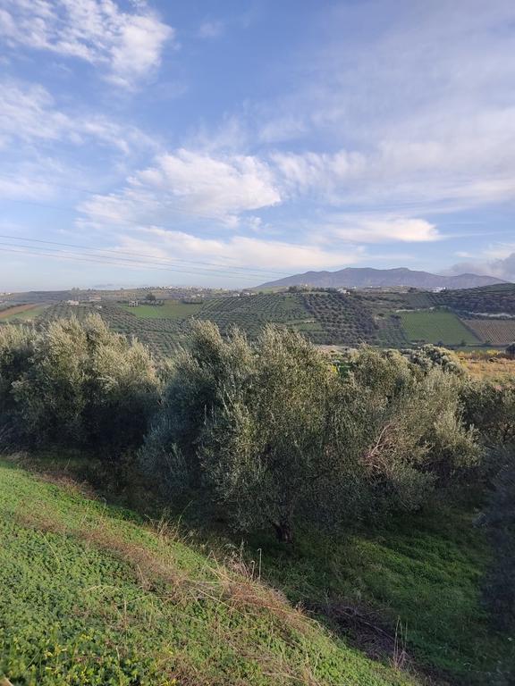 Οικόπεδο 4.059 τ.μ. πρός πώληση, Ν. Ηρακλείου, Ηράκλειο Κρήτης