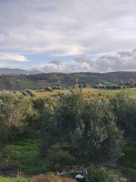 Οικόπεδο 4.059 τ.μ. πρός πώληση, Ν. Ηρακλείου, Ηράκλειο Κρήτης