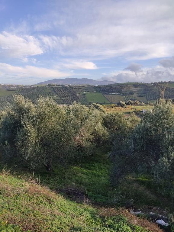 Οικόπεδο 4.059 τ.μ. πρός πώληση, Ν. Ηρακλείου, Ηράκλειο Κρήτης