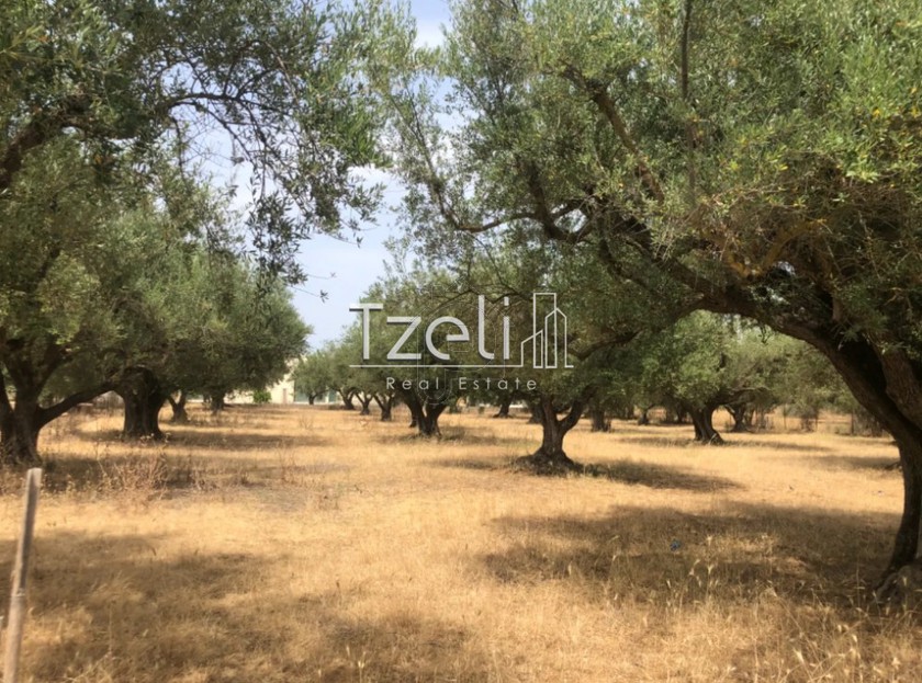 Οικόπεδο 2.827 τ.μ. για πώληση