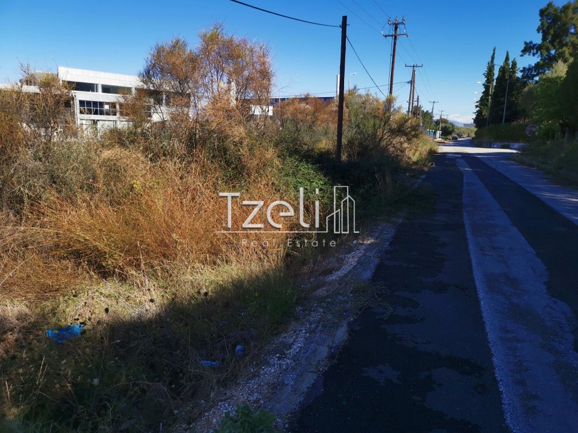 Land plot 3.030 sqm for rent, Achaia, Paralia