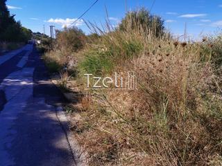 Οικόπεδο 3.030 τ.μ. για ενοικίαση, Αχαΐα, Παραλία-thumb-17