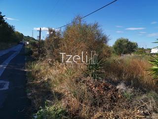 Οικόπεδο 3.030 τ.μ. για ενοικίαση, Αχαΐα, Παραλία-thumb-25