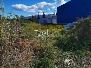 Οικόπεδο 2.412 τ.μ. για ενοικίαση, Αχαΐα, Παραλία-thumb-2
