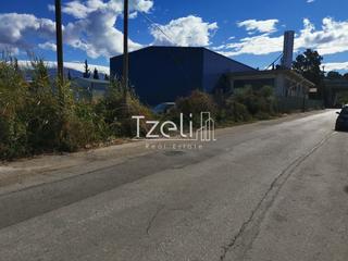 Οικόπεδο 2.412 τ.μ. για ενοικίαση, Αχαΐα, Παραλία-thumb-6