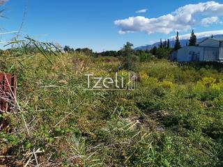 Οικόπεδο 2.412 τ.μ. για ενοικίαση, Αχαΐα, Παραλία-thumb-17