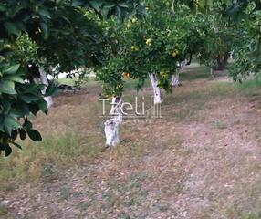 Οικόπεδο 1.016 τ.μ. για πώληση, Αχαΐα, Παραλία-thumb-7
