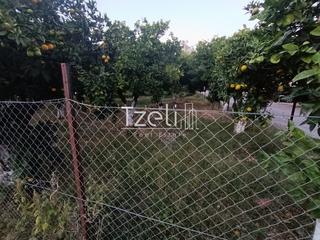 Οικόπεδο 1.016 τ.μ. για πώληση, Αχαΐα, Παραλία-thumb-9