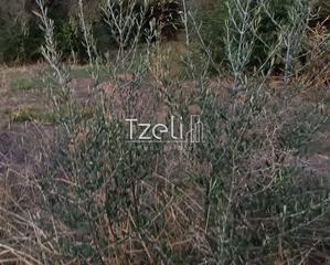 Οικόπεδο 1.016 τ.μ. για πώληση, Αχαΐα, Παραλία-thumb-10
