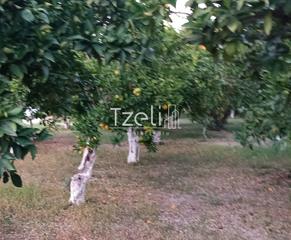 Οικόπεδο 1.016 τ.μ. για πώληση, Αχαΐα, Παραλία-thumb-15