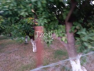 Οικόπεδο 1.016 τ.μ. για πώληση, Αχαΐα, Παραλία-thumb-24