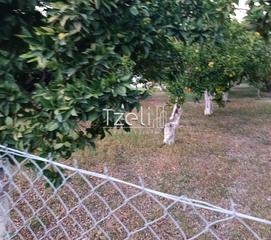 Οικόπεδο 1.016 τ.μ. για πώληση, Αχαΐα, Παραλία-thumb-28