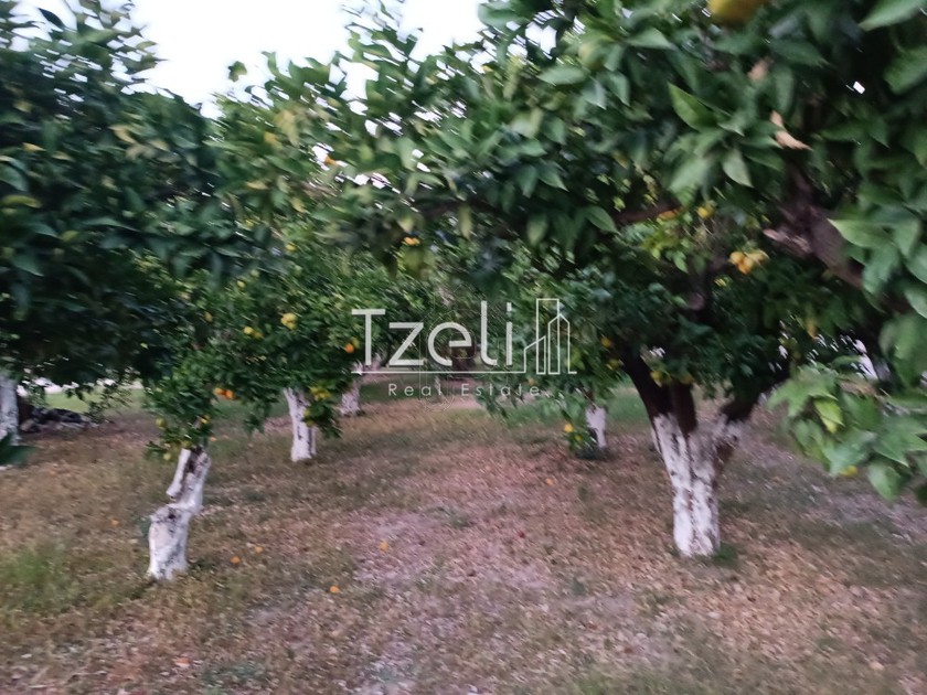 Οικόπεδο 1.016 τ.μ. για πώληση