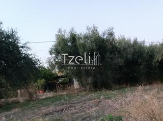 Οικόπεδο 1.016 τ.μ. για πώληση, Αχαΐα, Παραλία-thumb-1