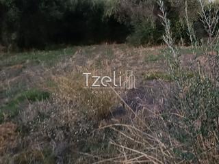 Οικόπεδο 1.016 τ.μ. για πώληση, Αχαΐα, Παραλία-thumb-2