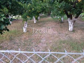 Οικόπεδο 1.016 τ.μ. για πώληση, Αχαΐα, Παραλία-thumb-3
